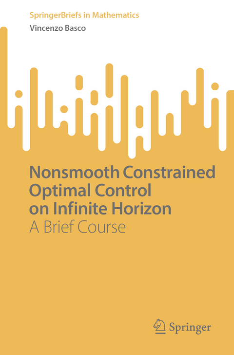 Nonsmooth Constrained Optimal Control on Infinite Horizon - Vincenzo Basco