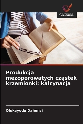 Produkcja mezoporowatych cząstek krzemionki - Olukayode Dahunsi