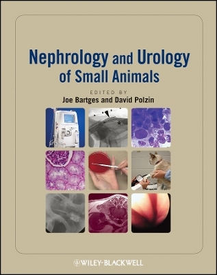 Nephrology and Urology of Small Animals - J Bartges