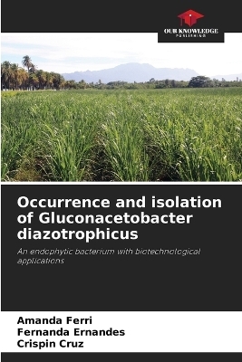 Occurrence and isolation of Gluconacetobacter diazotrophicus