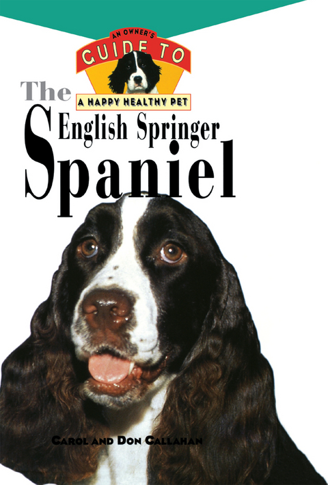 The English Springer Spaniel - Carol Callahan
