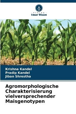 Agromorphologische Charakterisierung vielversprechender Maisgenotypen