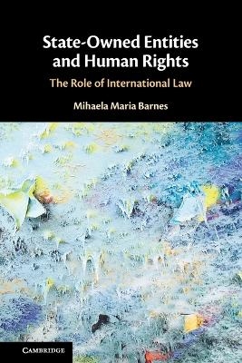State-Owned Entities and Human Rights