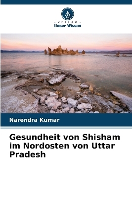 Gesundheit von Shisham im Nordosten von Uttar Pradesh