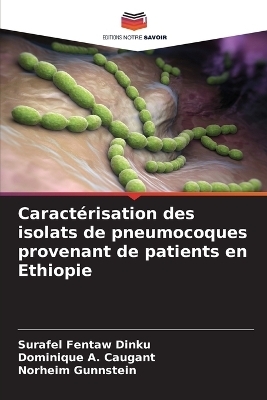 Caract&eacute;risation des isolats de pneumocoques provenant de patients en Ethiopie - Surafel Fentaw Dinku, Dominique A Caugant, Norheim Gunnstein