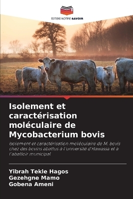 Isolement et caract&eacute;risation mol&eacute;culaire de Mycobacterium bovis - Yibrah Tekle Hagos, Gezehgne Mamo, Gobena Ameni