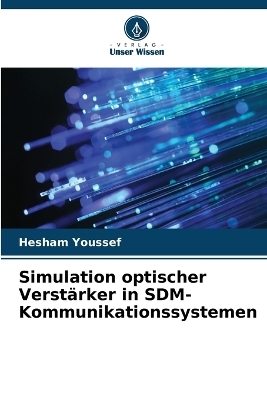 Simulation optischer Verstärker in SDM-Kommunikationssystemen
