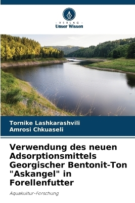 Verwendung des neuen Adsorptionsmittels Georgischer Bentonit-Ton 