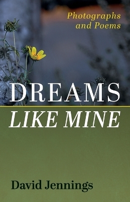 Dreams Like Mine - David Jennings