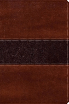 RVR 1960 Biblia del Pescador letra grande, caoba símil piel