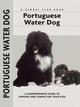Portuguese Water Dog - Paolo Correa