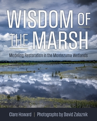 Wisdom of the Marsh - Clare Howard