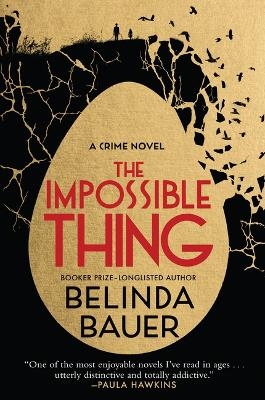 The Impossible Thing - Belinda Bauer