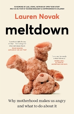 Meltdown: An insightful, sympathetic and reassuring look at the dangerous but hot topic of mum rage for readers of Brene Brown and Jamila Rizvi
