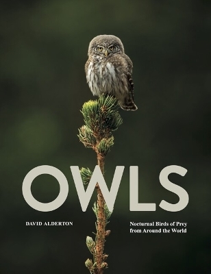 Owls - David Alderton