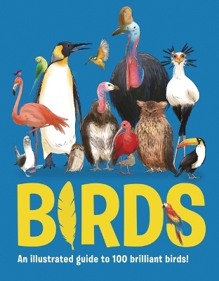 100 Brilliant Birds! - Eliza Jeffery
