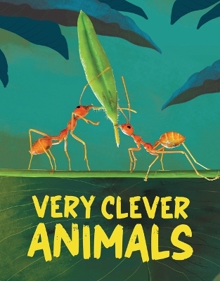 Very Clever Animals - Rosie Rowntree