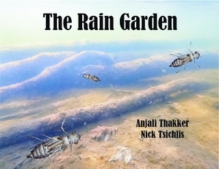 The Rain Garden