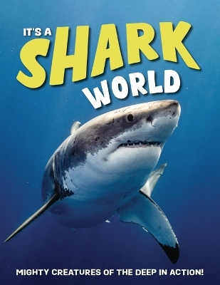 It's a Shark World - Paul Mason