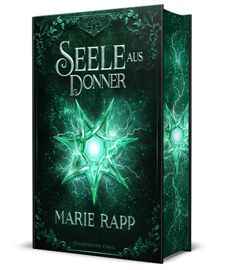 Seele aus Donner - Seelen-Saga 4 - Schmuckausgabe
