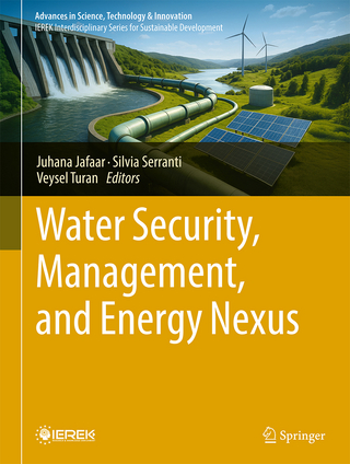 Water Security, Management, and Energy Nexus