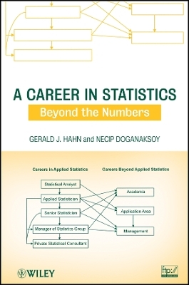 A Career in Statistics: Beyond the Numbers