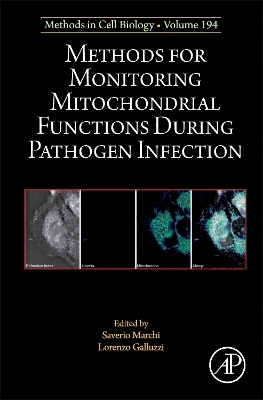 Methods for Monitoring Mitochondrial Functions During Pathogen Infection - 