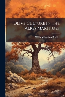 Olive Culture In The Alpes Maritimes - William Harrison Bradley