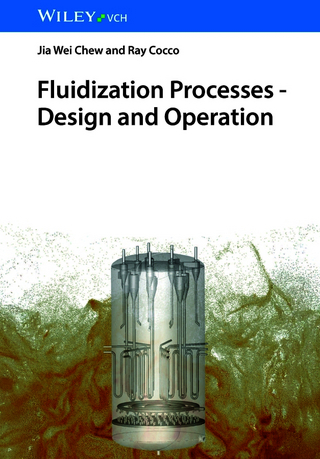 Fluidization Processes - Design and Operation