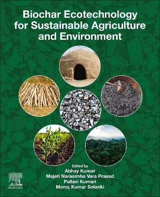 Biochar Ecotechnology for Sustainable Agriculture and Environment - 