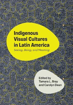 Indigenous Visual Cultures in Latin America - 