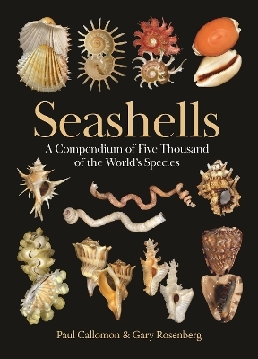 Seashells - Paul Callomon, Gary Rosenberg