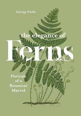 The Elegance of Ferns