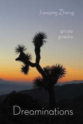 Dreaminations - Jianqing Zheng