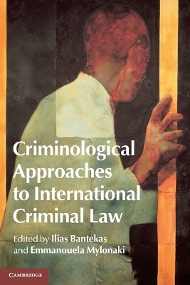 Criminological Approaches to International Criminal Law - 