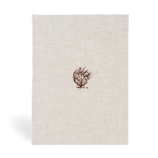 CSB Experiencing God Bible, Cream Cloth Over Board