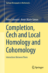 Completion, Čech and Local Homology and Cohomology -  Peter Schenzel,  Anne-Marie Simon
