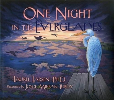 One Night in the Everglades - Laurel Larsen  Ph.D.