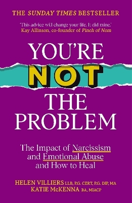 You&rsquo;re Not the Problem - Katie McKenna, Helen Villiers