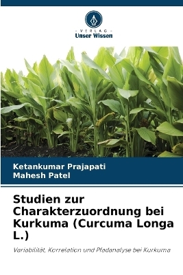 Studien zur Charakterzuordnung bei Kurkuma (Curcuma Longa L.)