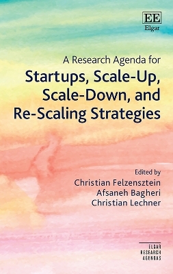 A Research Agenda for Startups, Scale-Up, Scale-Down, and Re-Scaling Strategies - 