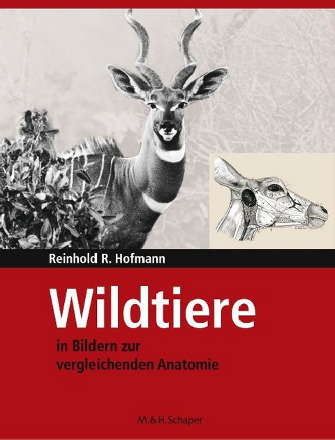 Wildtiere in Bildern zur Vergleichenden Anatomie - Reinhold R. Hofmann