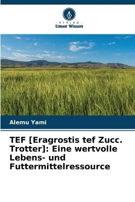 TEF [Eragrostis tef Zucc. Trotter] - Alemu Yami