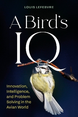 A Bird's IQ - Louis Lefebvre