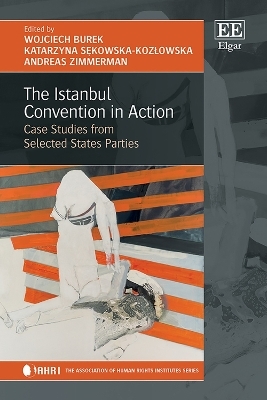 The Istanbul Convention in Action - 