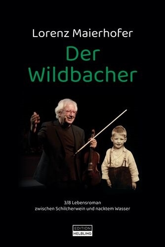 Der Wildbacher (Roman) - Lorenz Maierhofer