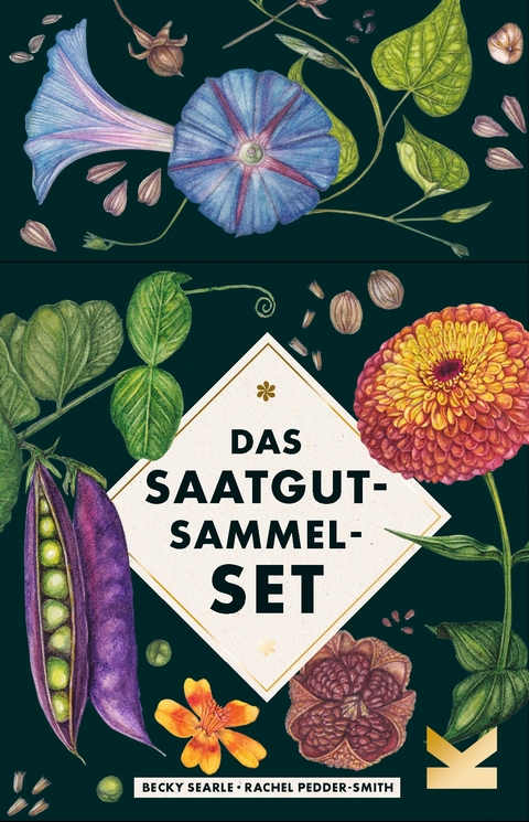 Das Saatgut-Sammelset - Becky Searle