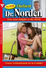 Unser Lebenstraum ist in Gefahr! - Patricia Vandenberg