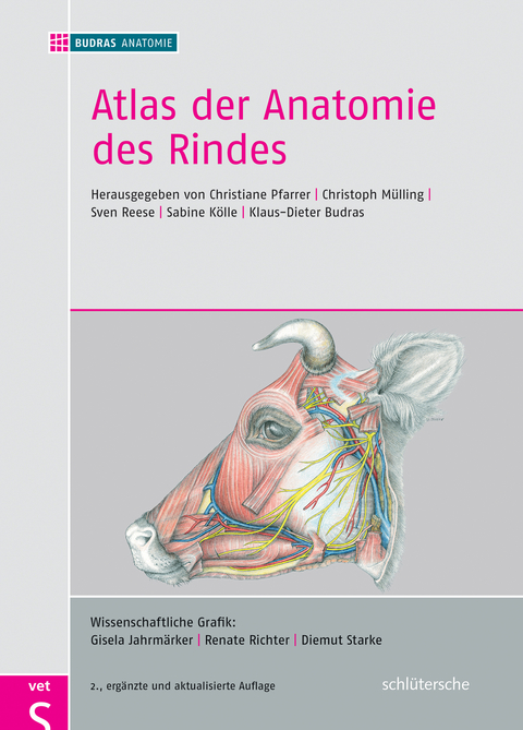 Atlas der Anatomie des Rindes - Klaus-Dieter Budras, Anita W&uuml;nsche