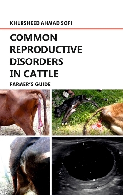 Common Reproductive Disorders in Cattle
